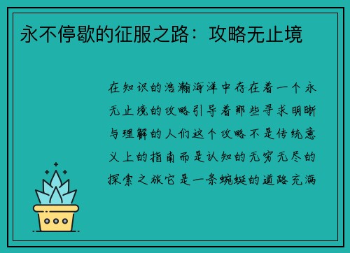 永不停歇的征服之路：攻略无止境
